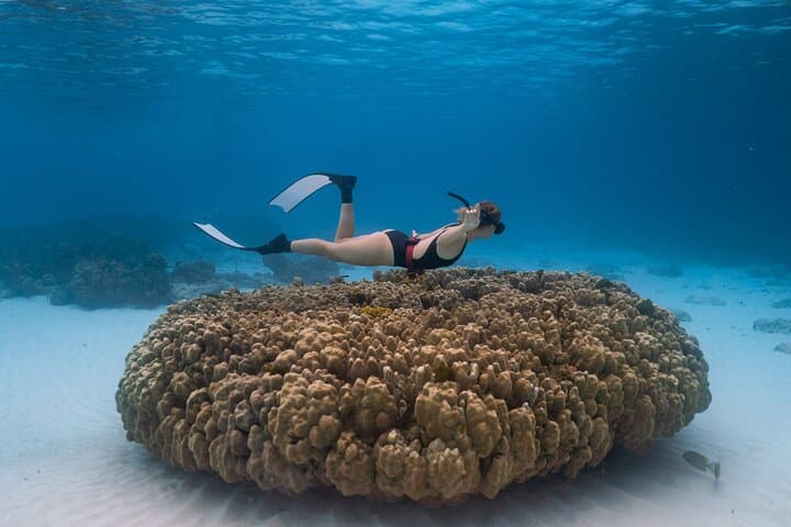 Private Raya & Mai Ton Island Boat Tour — Snorkel, Dolphins & White Sand (Phuket) photo 1