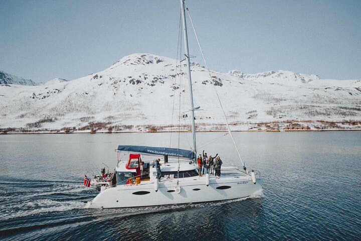 Tromsø Fjord Cruise: Luxury Catamaran Safari for Wildlife & Arctic Views