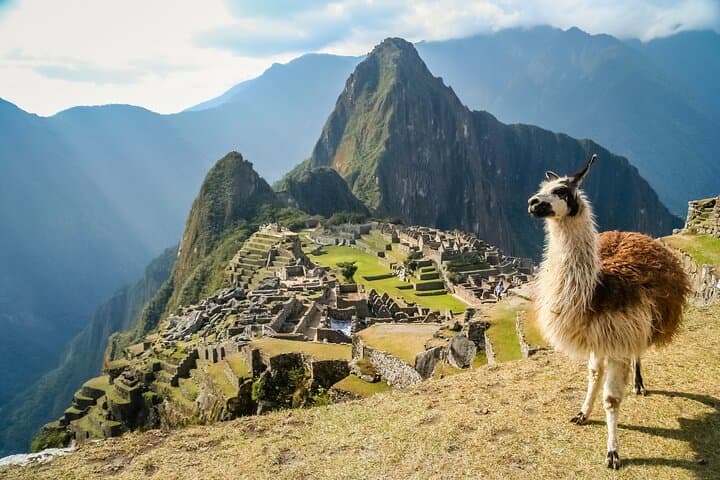 Machu Picchu Express: Full-Day Tickets & Train from Cusco photo 2