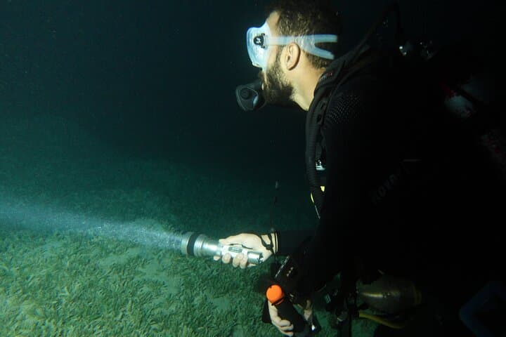 Private Night Dive in Aqaba: Red Sea Nightlife and Coral Reefs photo 3