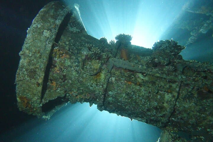 Private Night Dive in Aqaba: Red Sea Nightlife and Coral Reefs photo 5