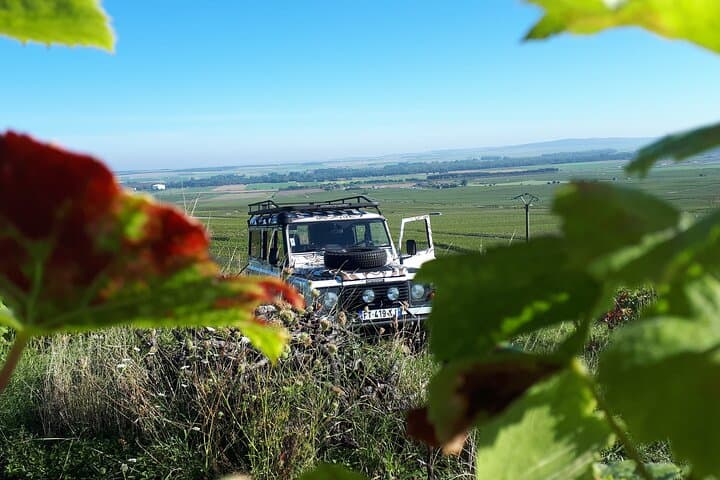 4x4 Champagne Vineyard Tasting and Cellar Visit on Montagne de Reims photo 5