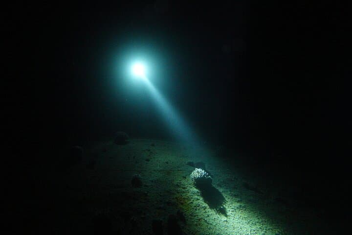 Private Night Dive in Aqaba: Red Sea Nightlife and Coral Reefs photo 6