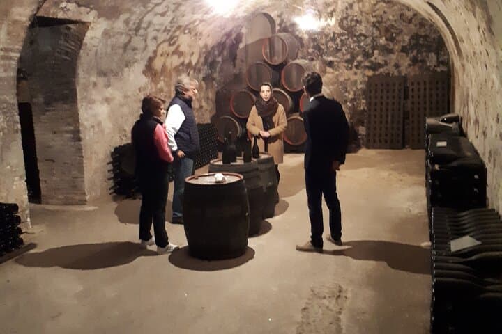 4x4 Champagne Vineyard Tasting and Cellar Visit on Montagne de Reims