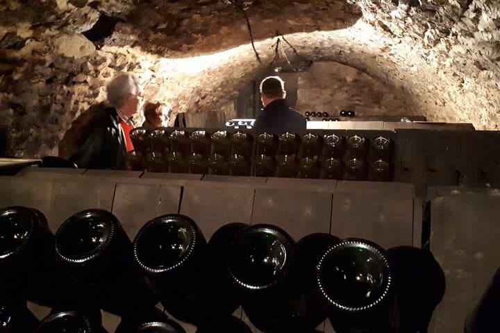 4x4 Champagne Vineyard Tasting and Cellar Visit on Montagne de Reims photo 4