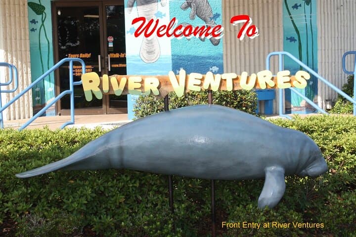 Exploring Kings Bay: River Cruise and Manatee Viewing in Florida's Nature Coast