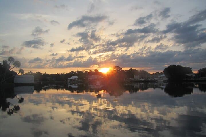 Exploring Kings Bay: River Cruise and Manatee Viewing in Florida's Nature Coast photo 2