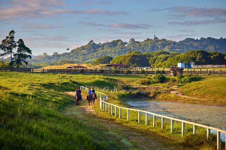 Kuranda Half-Day Horse Ride & Petting Zoo — Rainforest Trails from Cairns photo 2