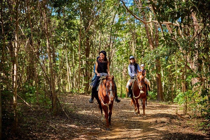 Kuranda Half-Day Horse Ride & Petting Zoo — Rainforest Trails from Cairns