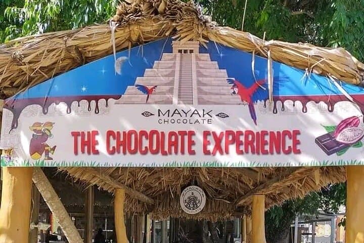 Roatan ATV Jungle Tour: Sloths, Monkeys, Chocolate & Rum Tasting photo 3