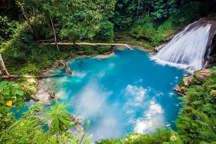 Blue Hole (Secret Falls) Adventure from Montego Bay — Swim, Jump & Explore Near Ocho Rios photo 6