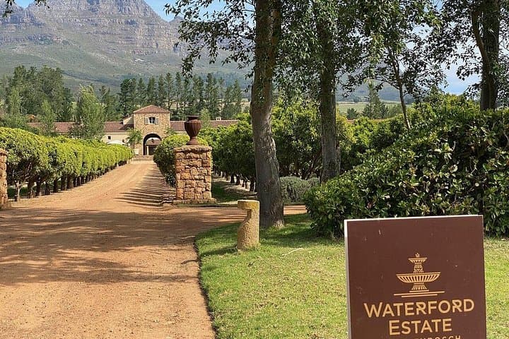 Wine Tasting in the Cape Winelands: Stellenbosch, Franschhoek & Paarl Day Tour photo 2