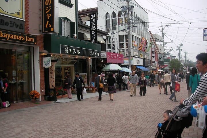 Self-Guided Karuizawa Day Trip from Tokyo by Shinkansen photo 4