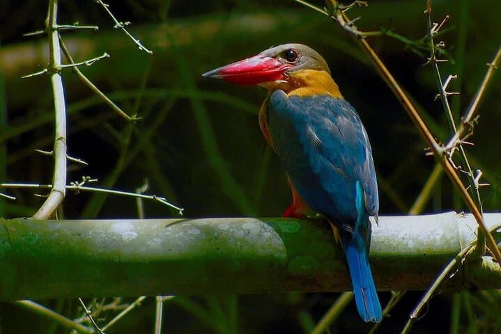 Two-Day Private Escape to Nam Cat Tien National Park: Wildlife, Lava Tubes & Bau Sau Lake