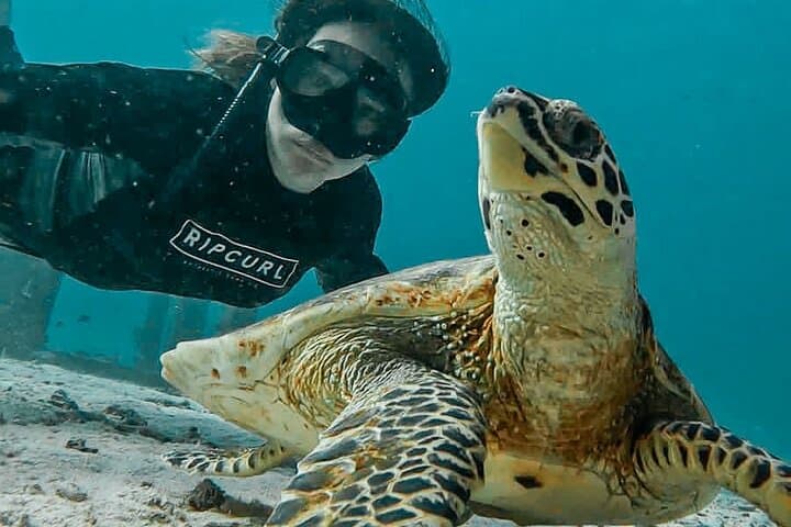 Similan Islands Private Tour: Snorkel Pristine Reefs & White-Sand Beaches