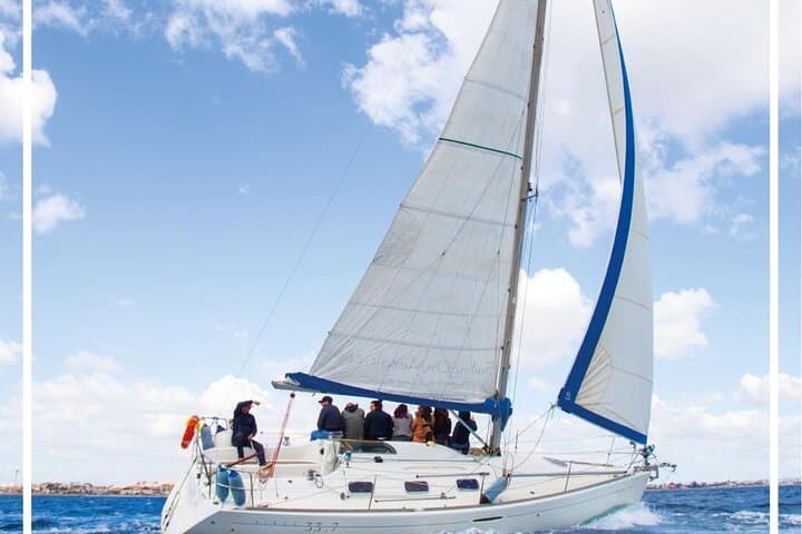 Sailing Towards the Devil's Saddle: Hands-On Day Sail from Cagliari photo 5