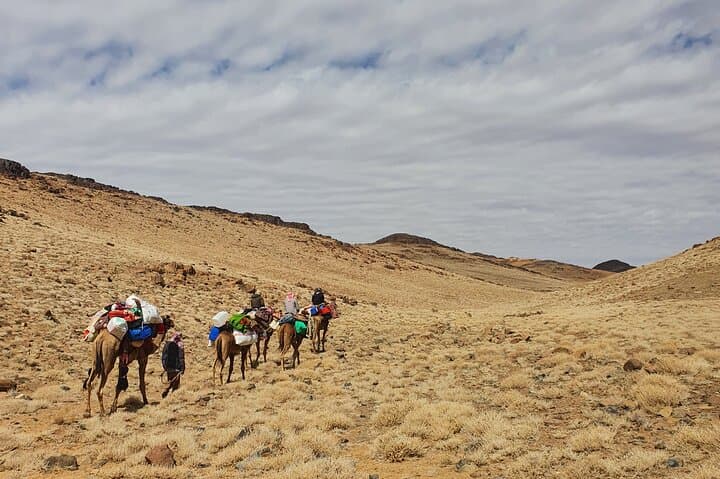 3-Day Sinai Mountain Hike with Bedouin Guides — St. Catherine Trails photo 2