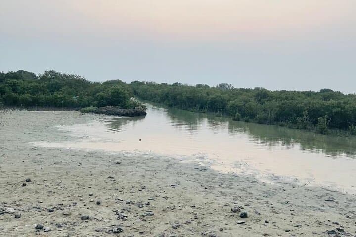 Kayaking the Al Thakira Mangroves: 1-Hour Wildlife Paddle from Doha photo 2