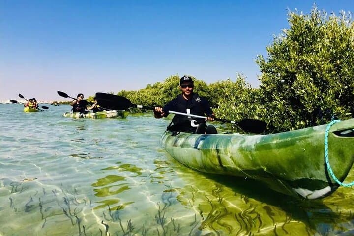 Kayaking the Al Thakira Mangroves: 1-Hour Wildlife Paddle from Doha