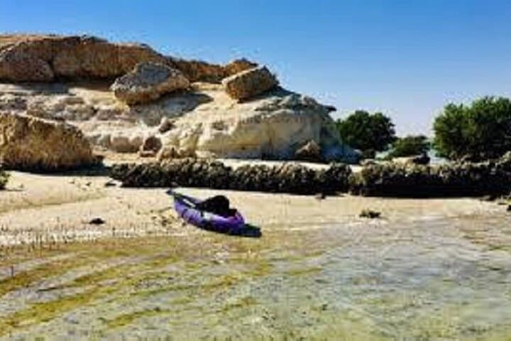 Kayaking the Al Thakira Mangroves: 1-Hour Wildlife Paddle from Doha photo 4