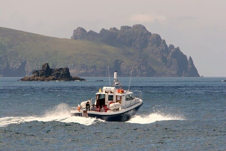 Dingle Blasket Islands: Whale & Dolphin Cruise with Great Blasket Island Landing photo 6