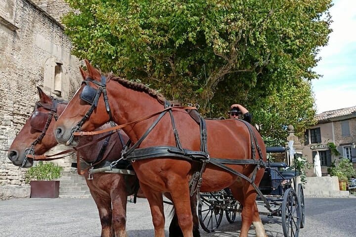 Horse-Drawn Carriage Rides in the Heart of the Luberon, Gordes photo 5