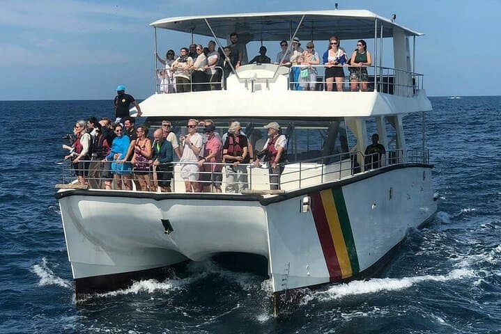 Mirissa Whale Watching on the Queen Whale — Dolphins, Sea Bath & Ethical Boat Safari photo 3
