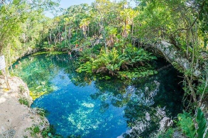 Private Cenote Snorkel: Nicte Ha & Taak Bi Ha VIP Tour in Tulum photo 2