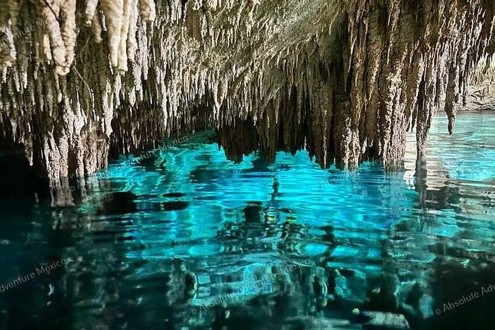 Private Cenote Snorkel: Nicte Ha & Taak Bi Ha VIP Tour in Tulum photo 1