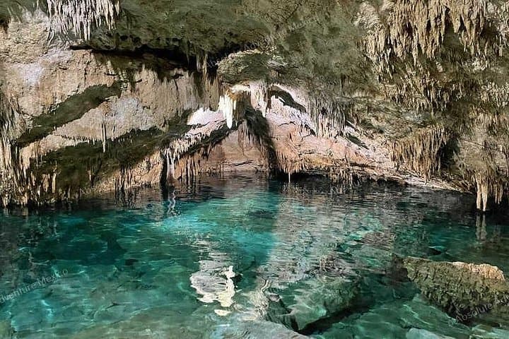Private Cenote Snorkel: Nicte Ha & Taak Bi Ha VIP Tour in Tulum photo 4