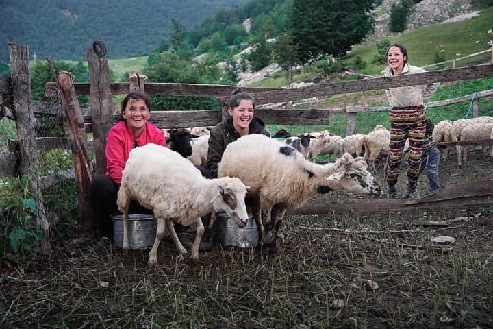 Shepherd Homestay in the Albanian Alps: 2-Day Cultural Trek in Lëpushë photo 1
