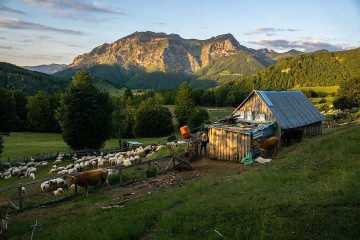 Shepherd Homestay in the Albanian Alps: 2-Day Cultural Trek in Lëpushë photo 2
