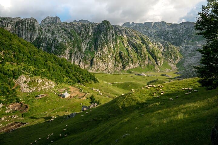 Hiking with Shepherds in the Albanian Alps: Lepushë to Maja e Vajushës Day Hike photo 3