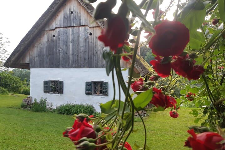 Private Organic Farm and Mammoth Site Tour in Nevlje, Kamnik