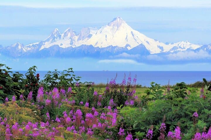 Seward to Anchorage Private Transfer: Scenic Seward Highway Drive photo 4