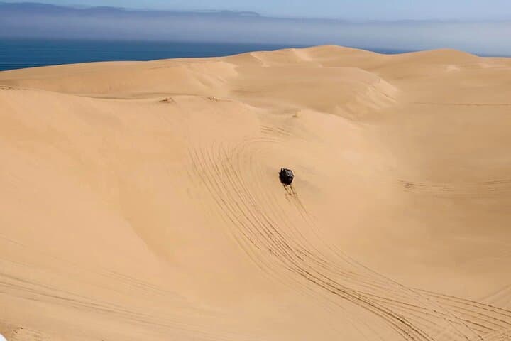 Sandwich Harbour 4x4 Tour: Coastal Dune Driving, Wildlife & Salt-Pan Vistas from Walvis Bay photo 5