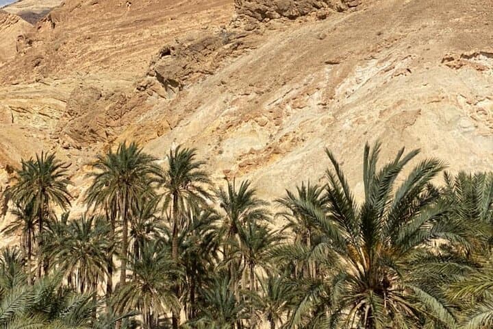 2-Day Sahara Explorer: South Tunisia Circuit from Hammamet to Tozeur photo 2