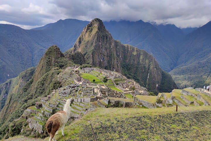 Family-Friendly Private Guided Visit to Machu Picchu: A Hands-On Day at the Citadel photo 3
