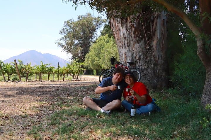Maipo Valley Bike & Wine Day Trip from Santiago — Isla de Maipo to Undurraga photo 4