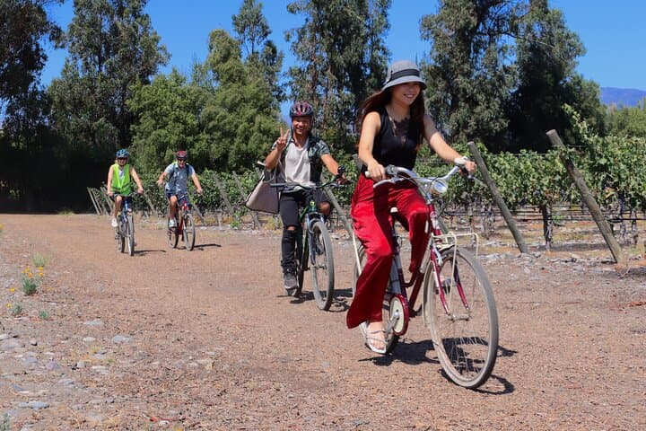 Maipo Valley Bike & Wine Day Trip from Santiago — Isla de Maipo to Undurraga photo 3