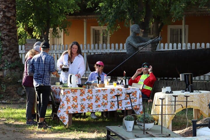 Maipo Valley Bike & Wine Day Trip from Santiago — Isla de Maipo to Undurraga photo 5