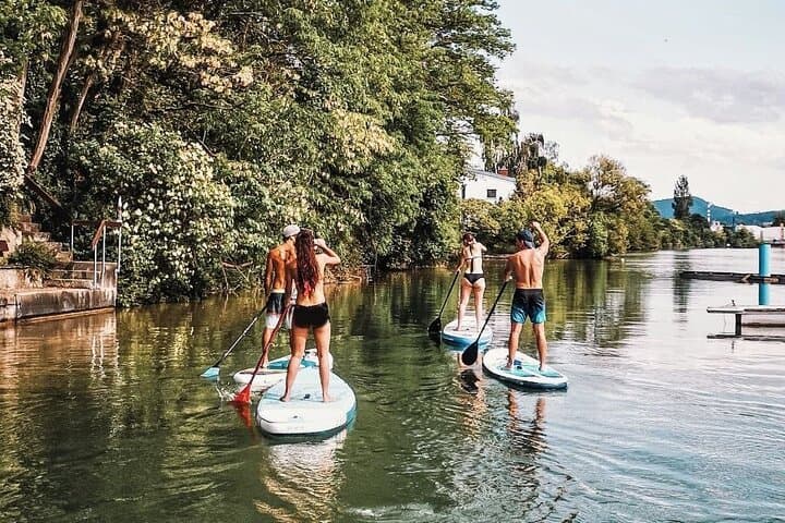 Stand-Up Paddleboarding on the Rhine in Basel: SUP Rentals, Tours & Lessons photo 4