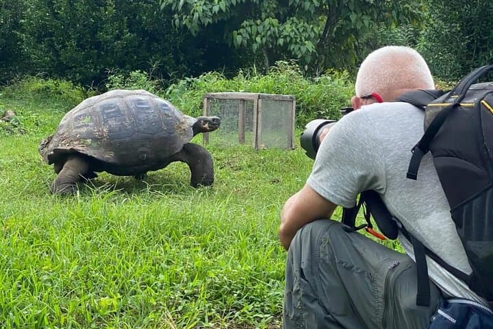 Giant Tortoise Watching and Lava Tunnels Tour — Santa Cruz Galápagos photo 3
