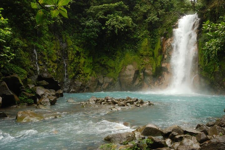 Rio Celeste Waterfall Swim and Lunch from La Fortuna — Guided Hike to Tenorio's Turquoise Pool photo 1