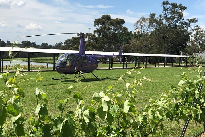 Hunter Valley Helicopter Wine Tasting: VIP 3-Hour Aerial Tour from Cessnock photo 4