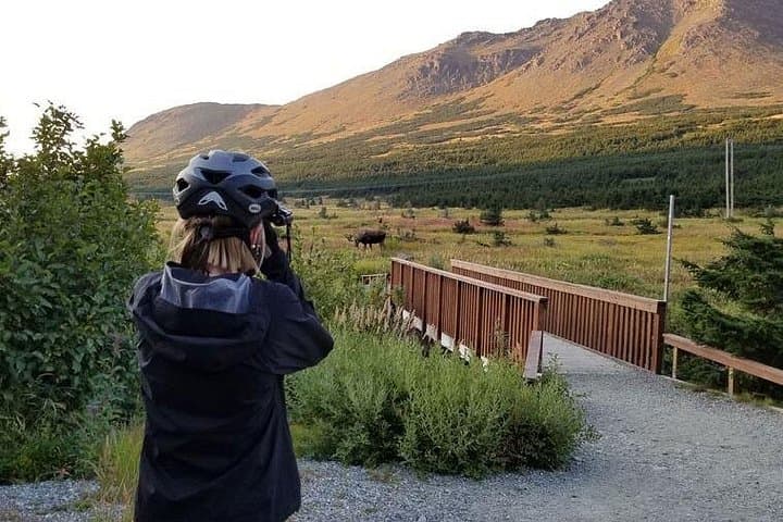Flattop Mountain Fat-Tire Ride: Scenic Anchorage Mountain Bike Tour photo 3