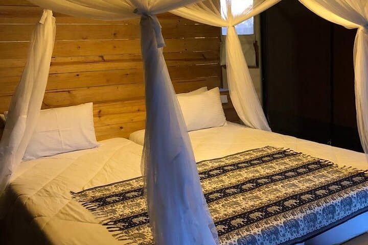 2-Day Private Serengeti Safari from Karatu — Big Five & Great Migration Game Drive photo 5