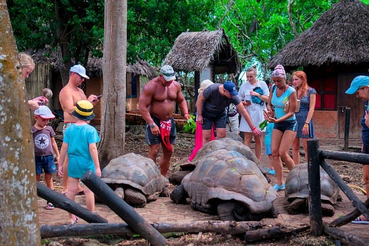 Prison Island (Changuu) Boat Trip — Tortoises, Snorkeling & Stone Town Shore Excursion photo 2