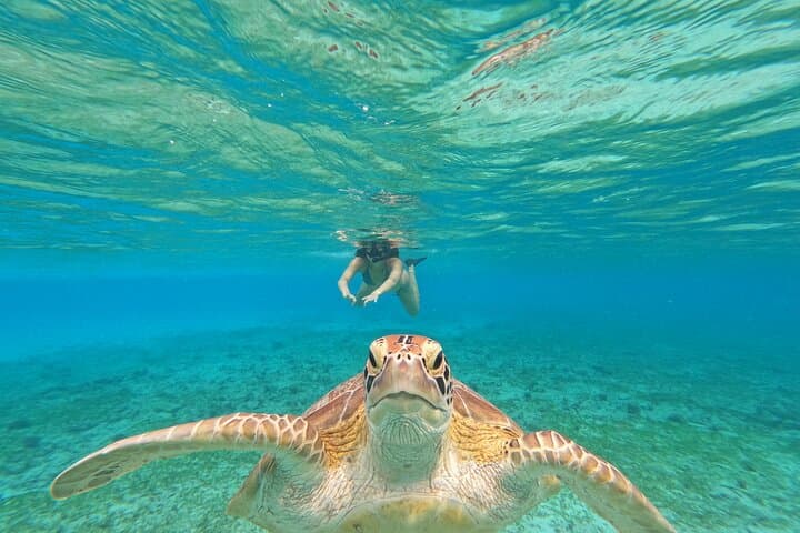 Gili Trawangan 3-Island Snorkel: Turtle Point, Statue & Blue Coral