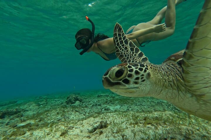 Gili Trawangan 3-Island Snorkel: Turtle Point, Statue & Blue Coral photo 2